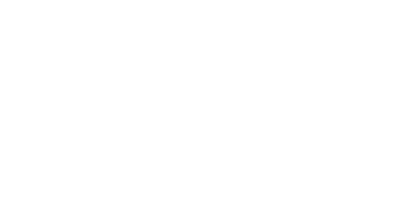 골드-넷 logo